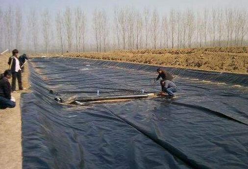 极品白丝美女被肏视频 复合土工膜在红旗河工程应用 所向披靡
