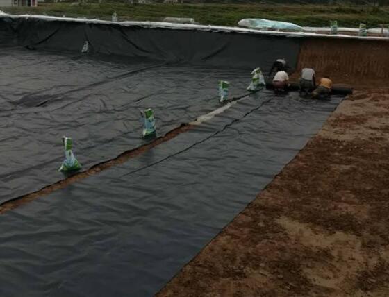 经典三级福利在线观看 土工膜材料选择几点建议