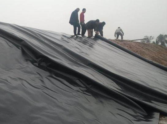 娇嫩jk丝袜美女被肏 土工膜在道路防渗施工中应用的核心焦点