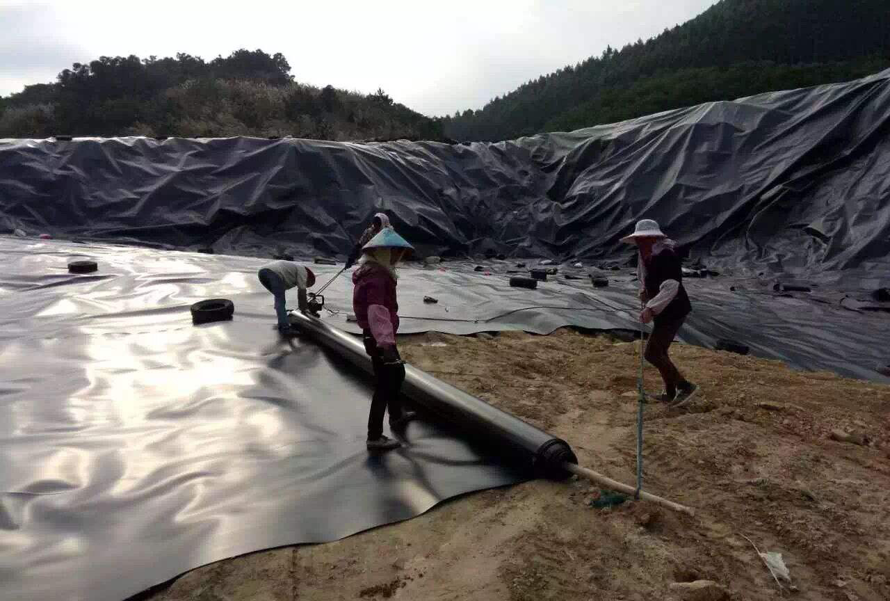 经典三级福利在线观看 填埋场滤液水位变化对防渗膜有直接影响