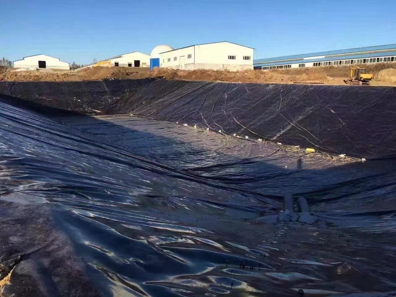 经典三级福利在线观看 水库铺设土工膜底部垫层15cm细沙的作用?