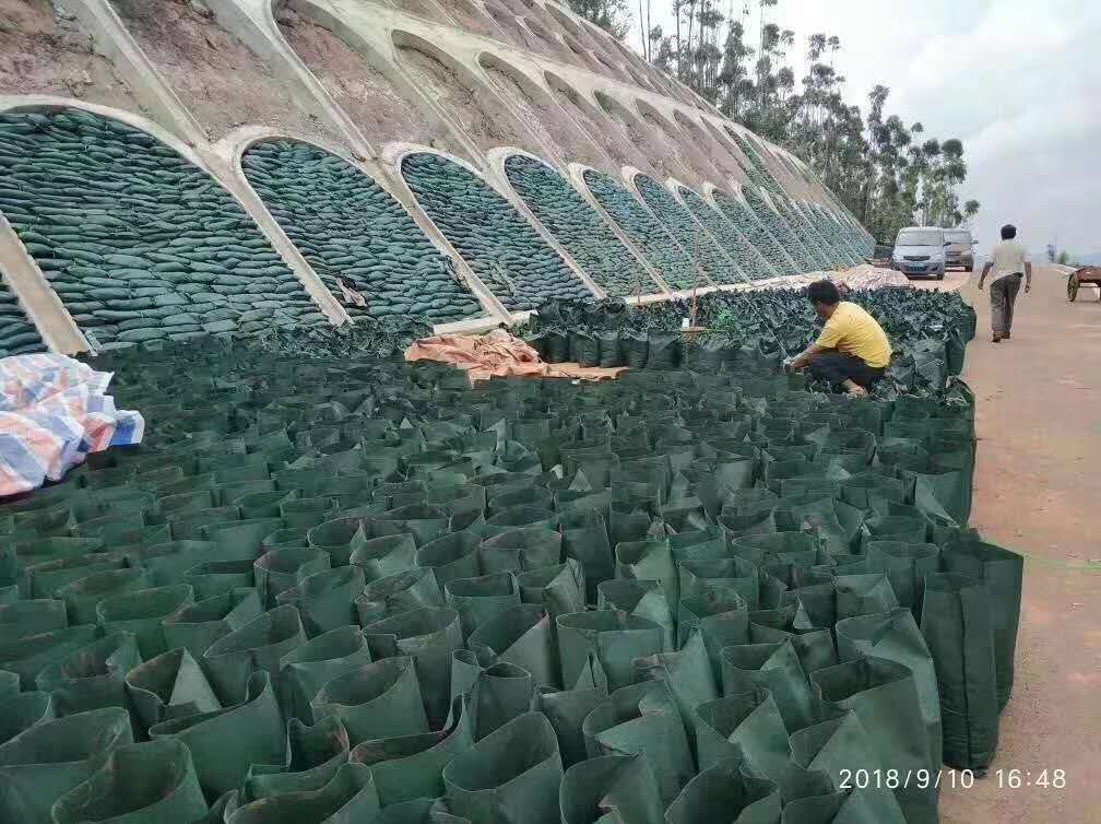 经典三级福利在线观看 生态护坡工程中主要边坡防护措施有哪些?