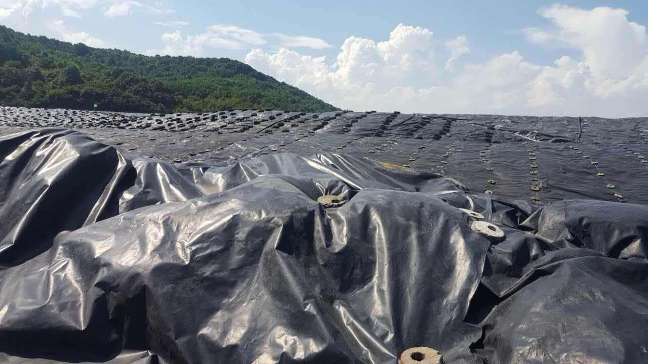 娇嫩jk丝袜美女被肏 戈壁滩蓄水池选用HDPE土工膜的缘由