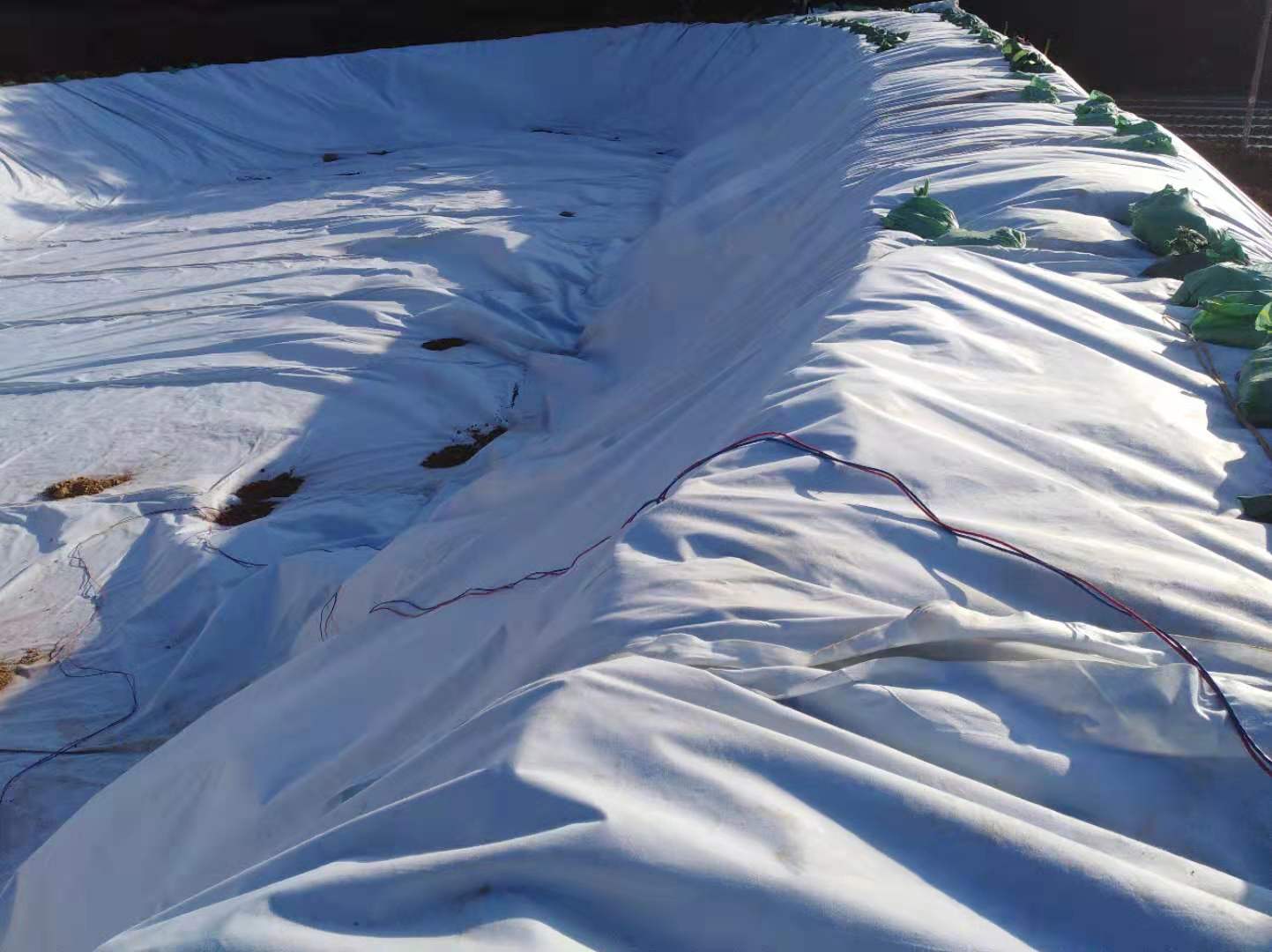 经典三级福利在线观看 复合土工膜方式总体与防水层结构加固的经济收益