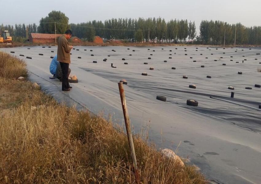 经典三级福利在线观看 尾矿库中排渗体系的土工布应用介绍