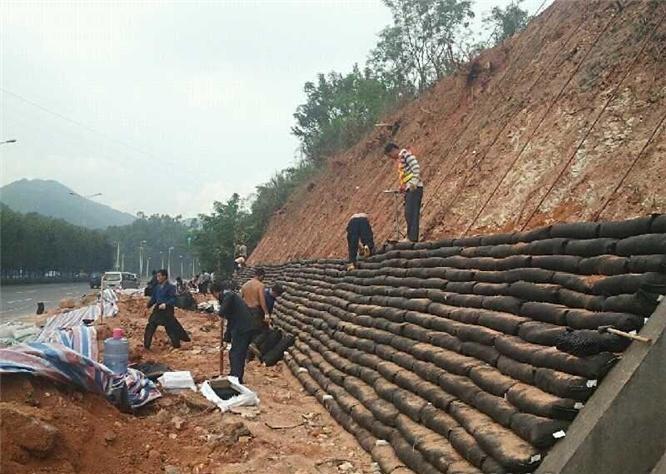 经典三级福利在线观看 各种实践证明土工袋砌护的稳定性