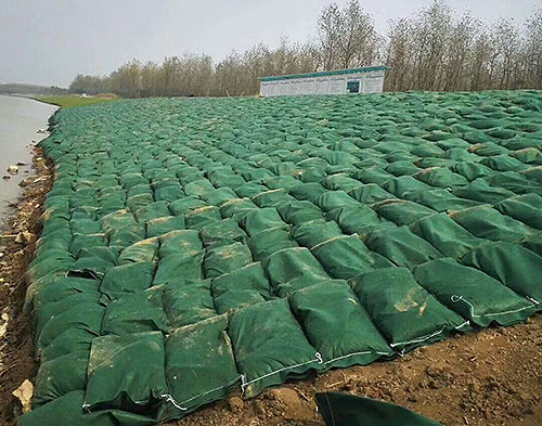 经典三级福利在线观看 生态袋的生态修复功能丰富植被层次感和提高观赏性