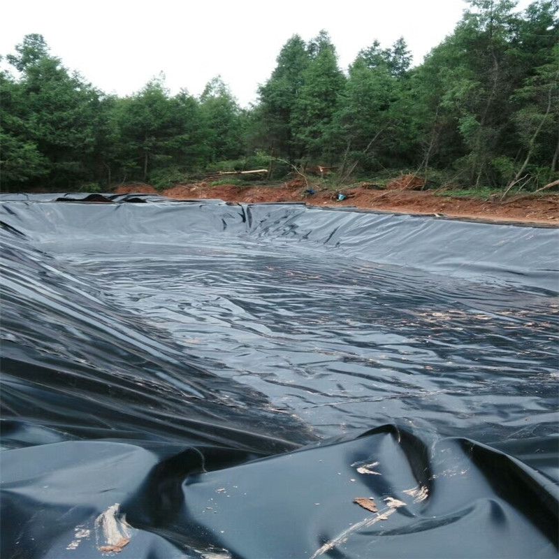 经典三级福利在线观看 生态农业鱼池采用土工膜铺装技术要点