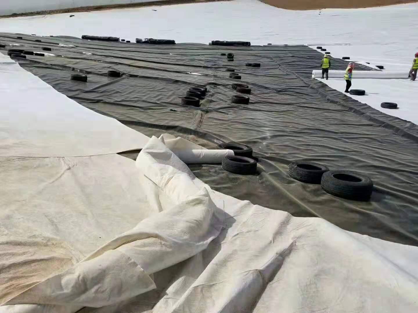经典三级福利在线观看 拦泥围护桩施打和土工复 合材料的铺设形式