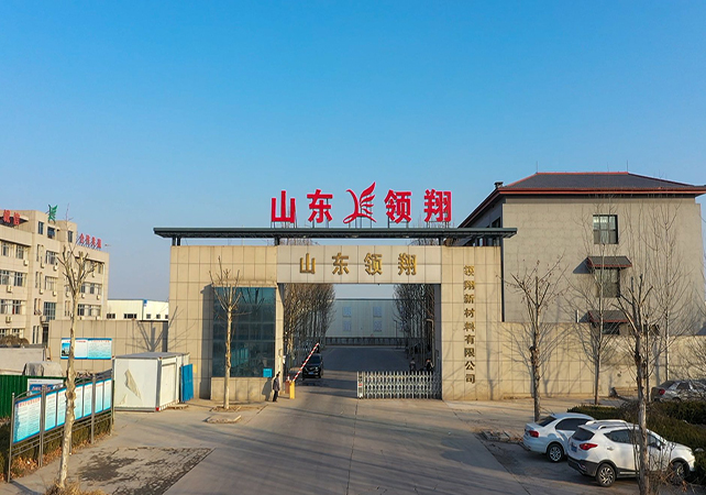 领翔厂貌
