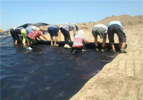 经典三级福利在线观看 土工膜施工过程中如何进行有效防护