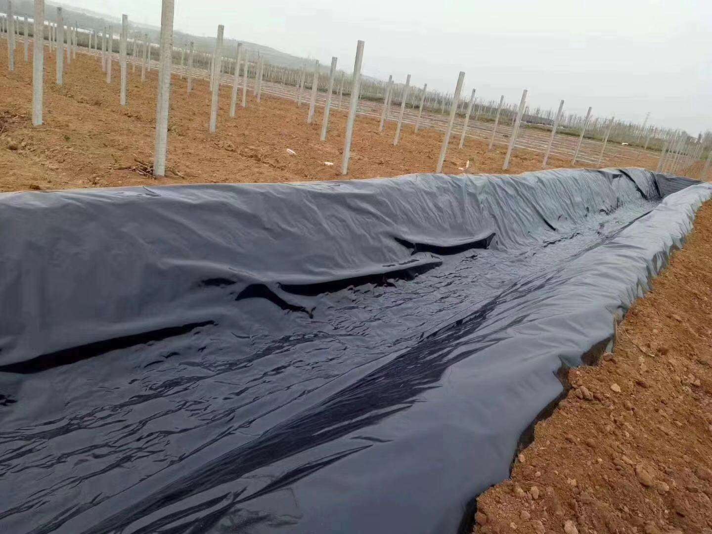 经典三级福利在线观看 土工膜常用于垃圾填埋场、水库等,其渗透性能极其重要