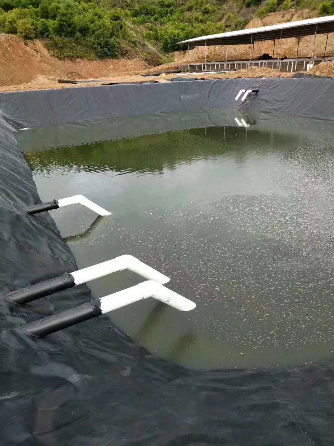 经典三级福利在线观看 黑膜沼液池防渗漏施工技术研究HDPE膜结构及材料特征