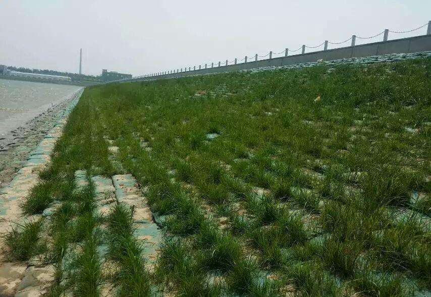 经典三级福利在线观看 常用的海岛边坡修复技术有哪些？如何修复海岛边坡？